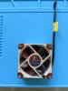 noctua-5v.jpg