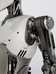 Avadon77