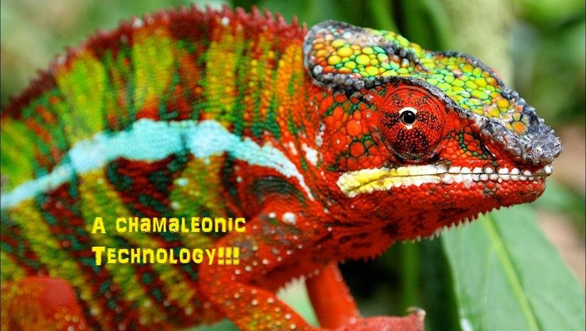 FPGA is a chamaleonic technology!